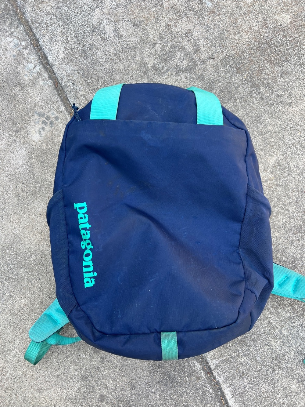 Patagonia Atom Backpack